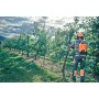 Pilarki łańcuchowe - Akumulatorowa pilarka HUSQVARNA 535i XP®