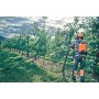 Pilarki łańcuchowe - Akumulatorowa pilarka HUSQVARNA 535i XP®