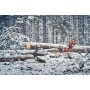 Pilarki łańcuchowe - Husqvarna 560 XP® G Mark II Professional chainsaw