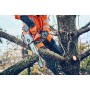 Pilarki łańcuchowe - Akumulatorowa pilarka HUSQVARNA T542i XP® do pielęgnacji drzew