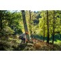 Pilarki łańcuchowe - Spalinowa pilarka HUSQVARNA 450S